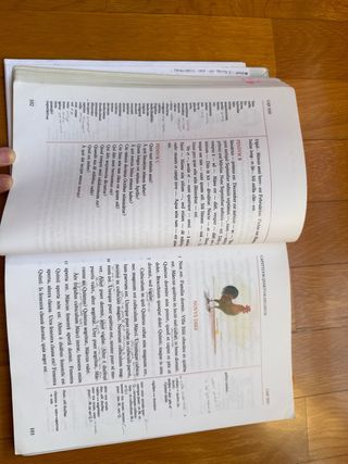 Lingua latina per se illustrata : familia romana