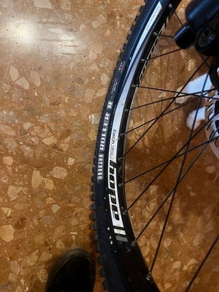 Giant Reign 1.5 Talla s