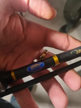 Caña de pescar Master Spinn 2.65m 20-55g