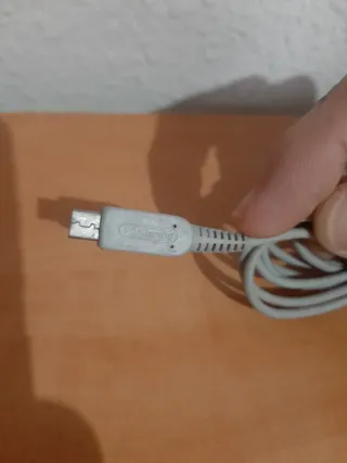 Nintendo DSi cargador