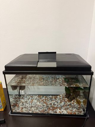 Acuario 50 con filtro y plantas con mesa
