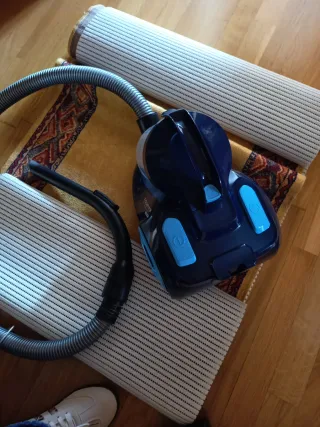 Aspiradora Rowenta Ciclonica Azul