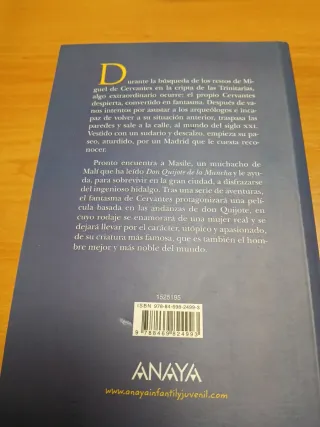 El despertar de Cervantes (Spanish Edition)
