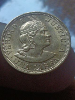 Moneda libra de oro peruana