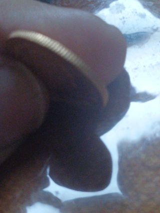 Moneda libra de oro peruana