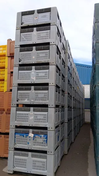 1600 Palots Revisados