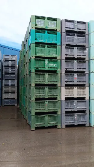 1600 Palots Revisados