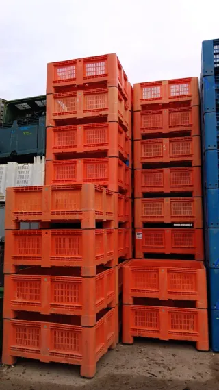 1600 Palots Revisados