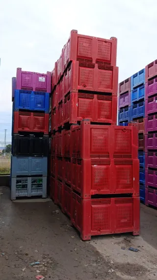 1600 Palots Revisados