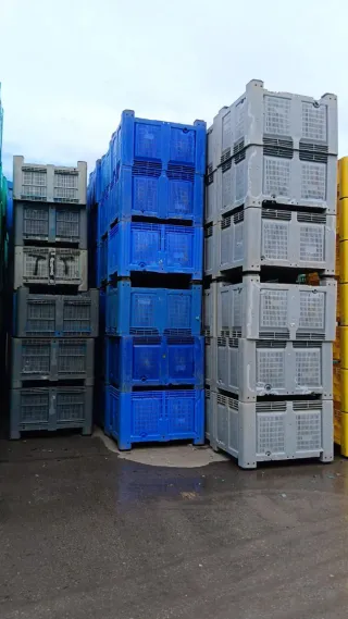 1600 Palots Revisados