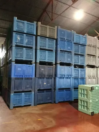 1600 Palots Revisados