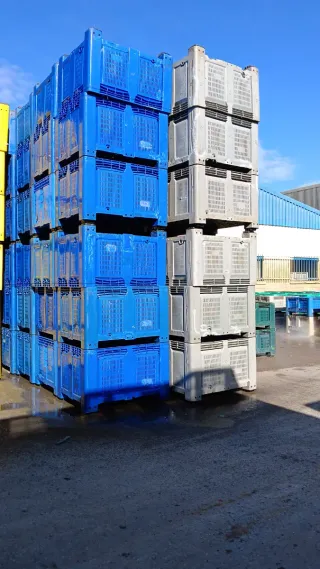 1600 Palots Revisados