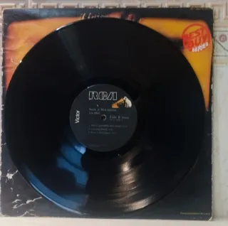 Vinilo Lou Reed Rock 'n Roll Animal