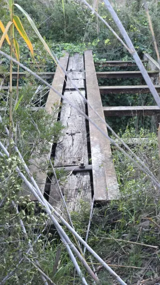 Máquinas de carnicería