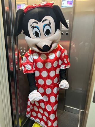 OFERTA Disfraz Minnie Mouse Adulto