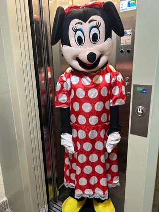 OFERTA Disfraz Minnie Mouse Adulto