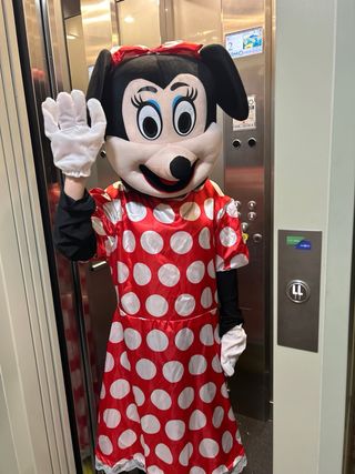 OFERTA Disfraz Minnie Mouse Adulto