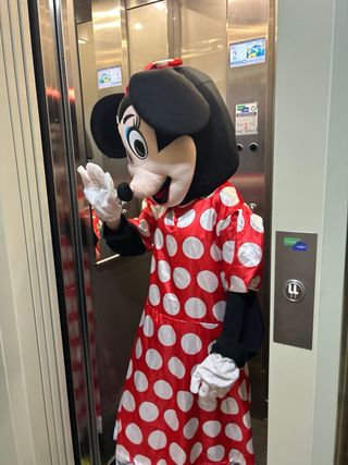 OFERTA Disfraz Minnie Mouse Adulto