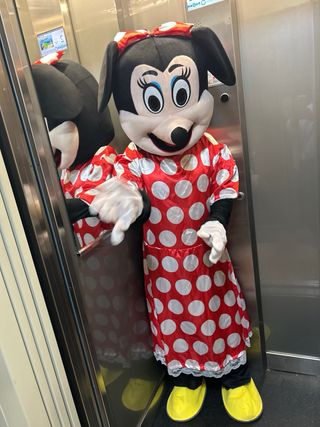 OFERTA Disfraz Minnie Mouse Adulto