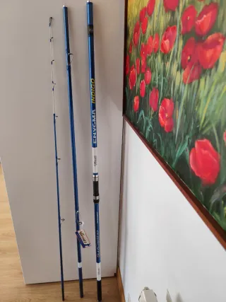 Caña Surf Casting Vercelli Enigma Indigo