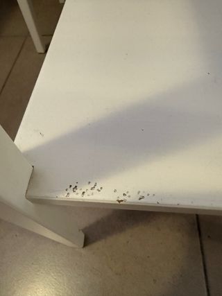 Comodini bianchi in legno