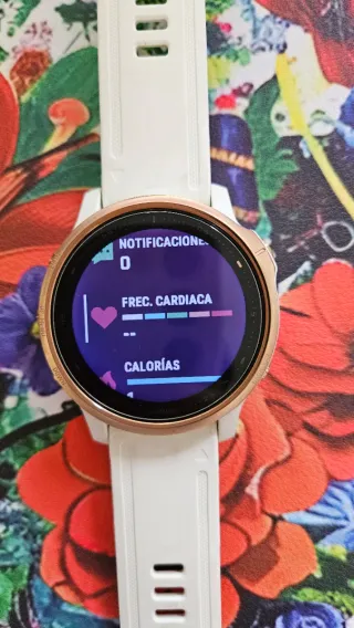 Garmin Fenix 6S Pro Sapphire GPS Multideporte