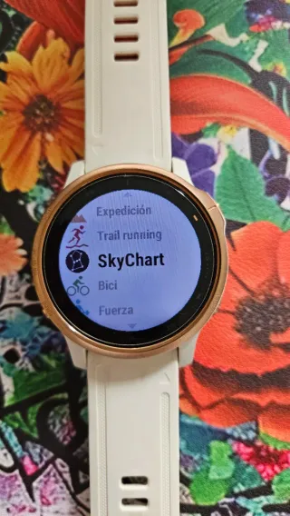 Garmin Fenix 6S Pro Sapphire GPS Multideporte
