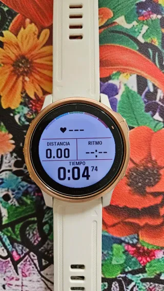 Garmin Fenix 6S Pro Sapphire GPS Multideporte