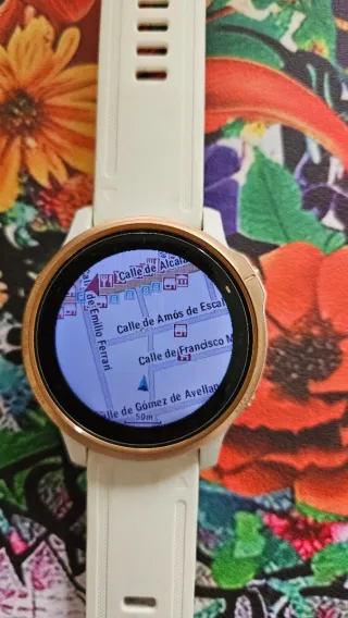 Garmin Fenix 6S Pro Sapphire GPS Multideporte