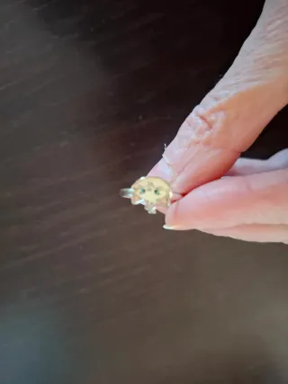 Conjunto Joyas Gata Marie Disney Niña