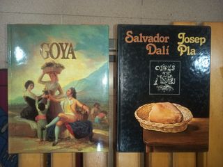 Lote 9 libros de Pintura