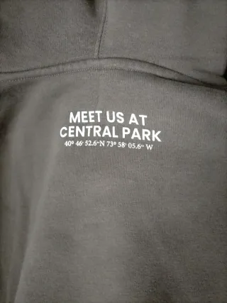 Sudadera Zara Marrón con Dibujo