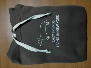 Sudadera Zara Marrón con Dibujo