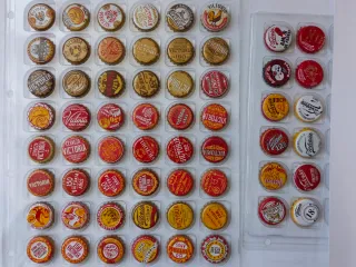 Set 60 Chapas Cerveza Victoria 150 Años