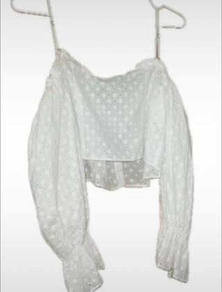 Blusa Zara manga larga bordada