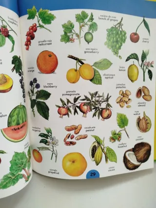 MIS PRIMERAS 1000 PALABRAS EN INGLES