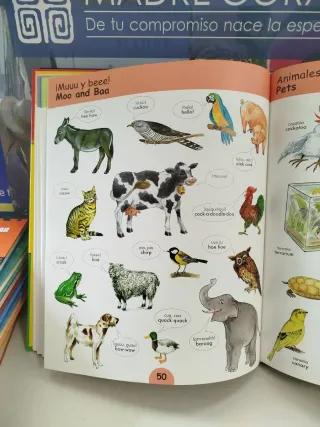 MIS PRIMERAS 1000 PALABRAS EN INGLES