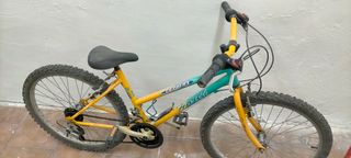 Bicicleta