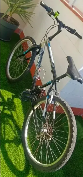 Bicicleta TOPBIKE
