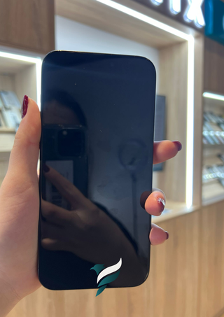 iPhone 15 Pro Max 256GB Black Titanium