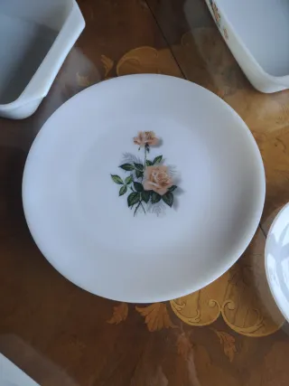 Arcopal Vintage Bandejas y Platos Florales