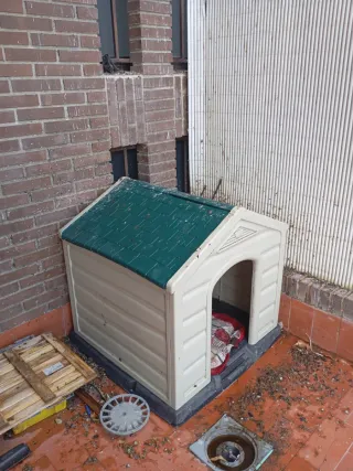 Caseta para perro de resina 82-84-90 medidas