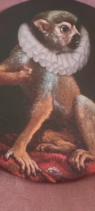 Quadro rotondo scimmia con collare