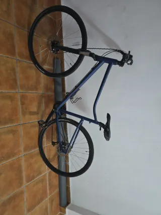 Bicicleta urbana retro mujer