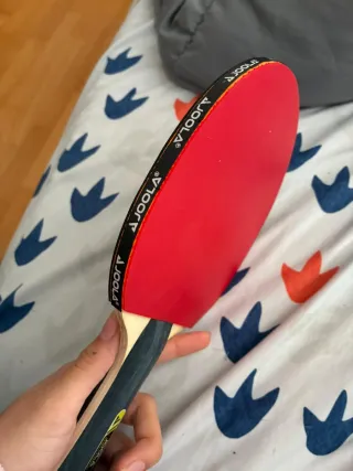 Set Raquetas y Pelotas Ping-Pong