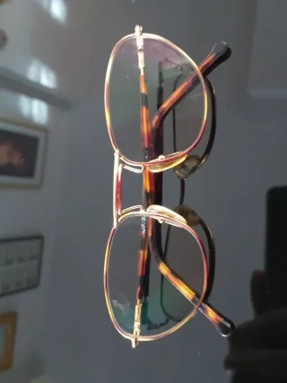 Montura de gafas doradas y marrones
