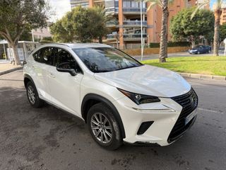 Lexus NX 2020