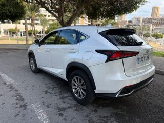 Lexus NX 2020