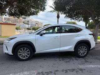 Lexus NX 2020
