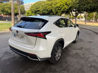 Lexus NX 2020